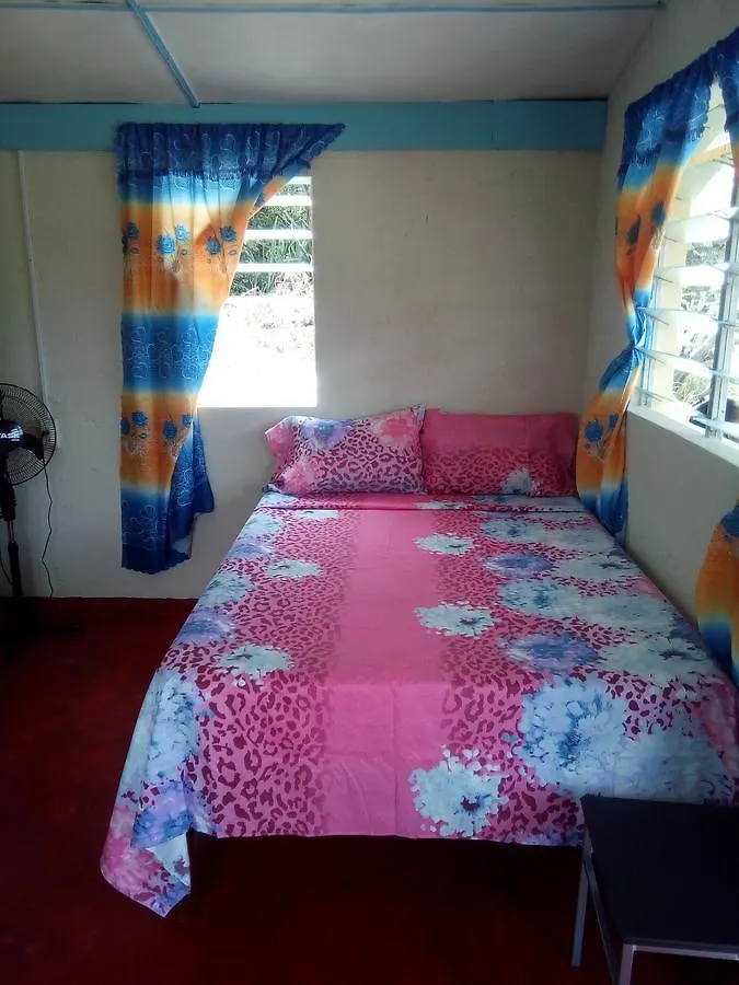 Waikiki Guest House Treasure Beach